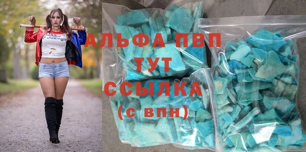 шишки Алзамай