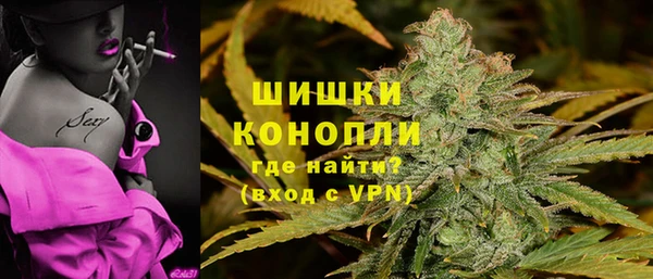 шишки Алзамай