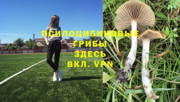 шишки Алзамай