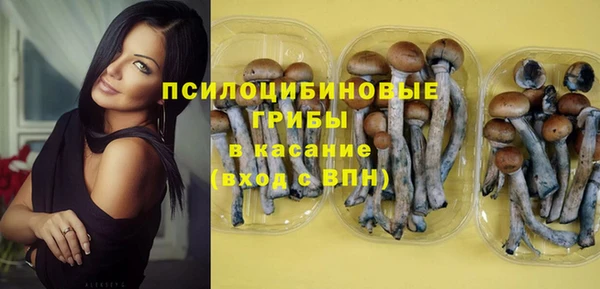 шишки Алзамай