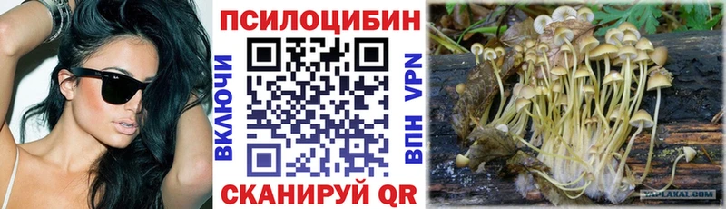 сайты даркнета клад  Курск  Галлюциногенные грибы GOLDEN TEACHER  даркнет сайт 