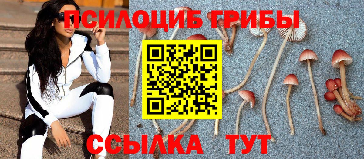 Псилоцибиновые грибы Cubensis  Вход с VPN  Псилоцибиновые грибы MAGIC MUSHROOMS  Курск 