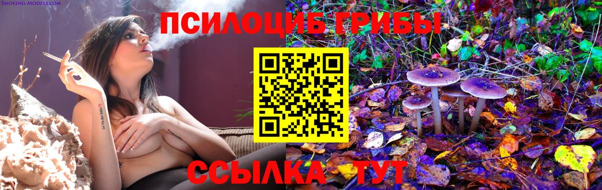 Галлюциногенные грибы MAGIC MUSHROOMS Курск